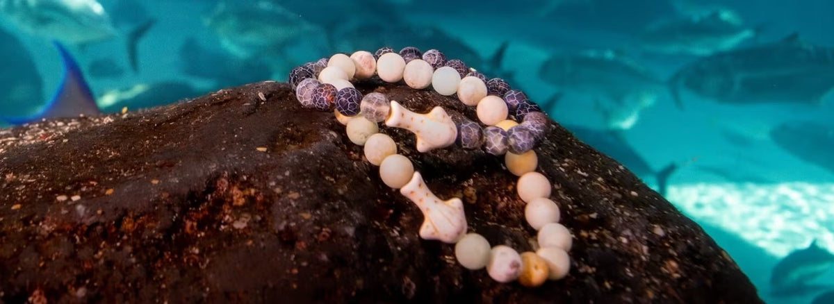 Fahlo Animal Tracking Bracelets