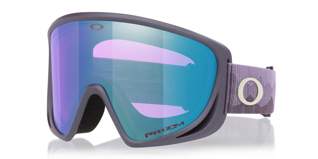 Oakley Mont Scape M Snow Goggle