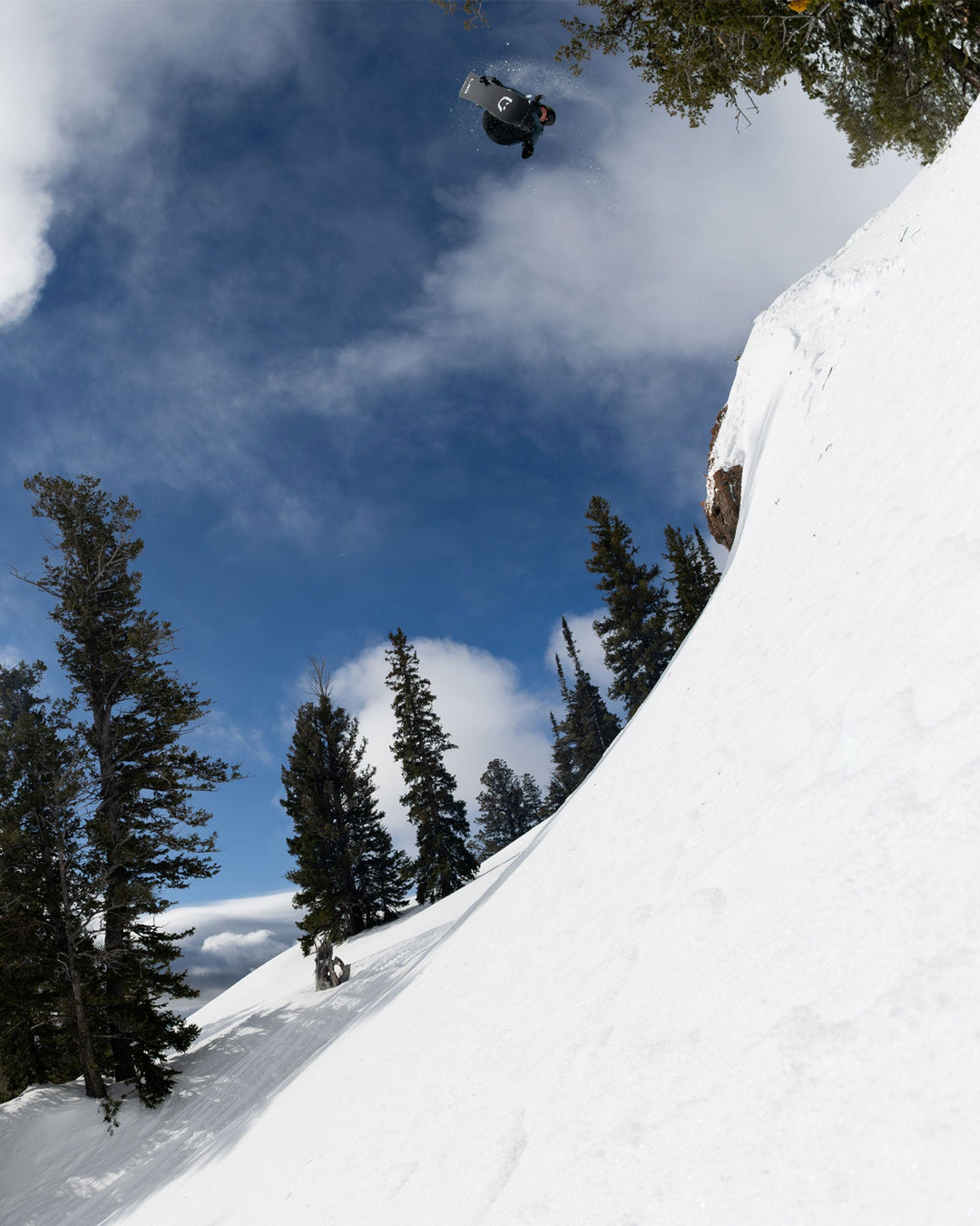 Lib Tech Dpr Mens Snowboard 2027