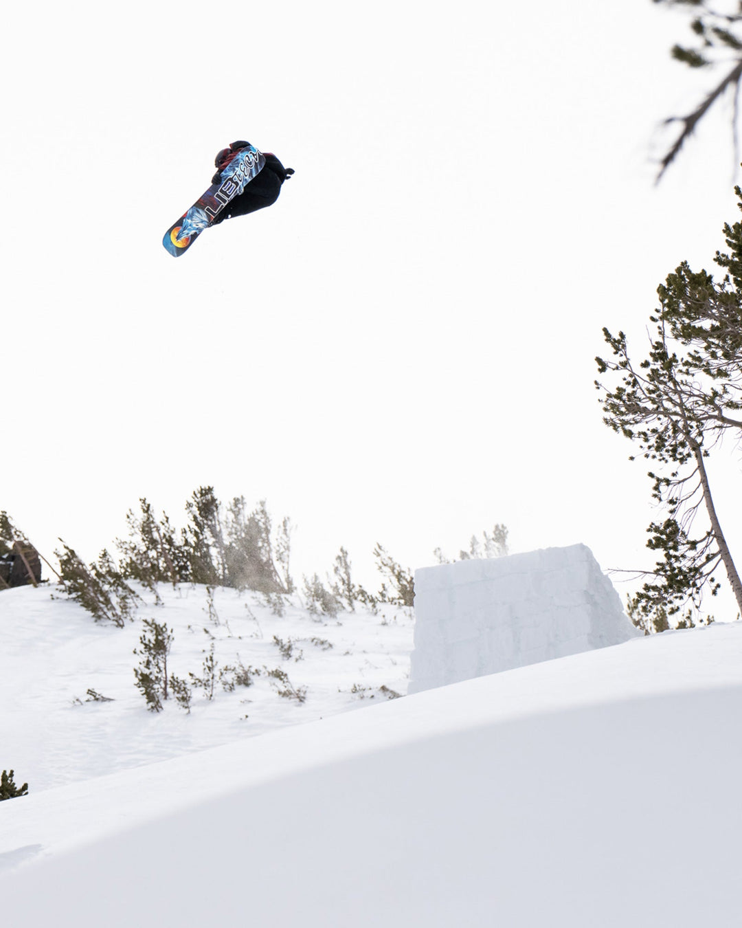 Lib Tech Dynamo Mens Snowboard 2027