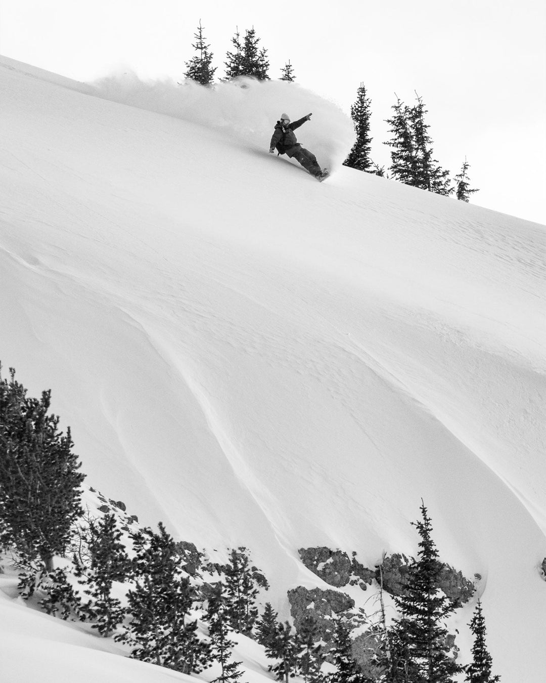 Lib Tech Orca II Snowboard 2027