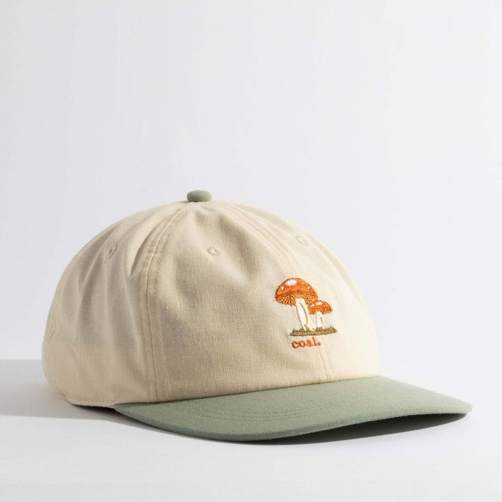 Coal Evergreen | Bone/Sage