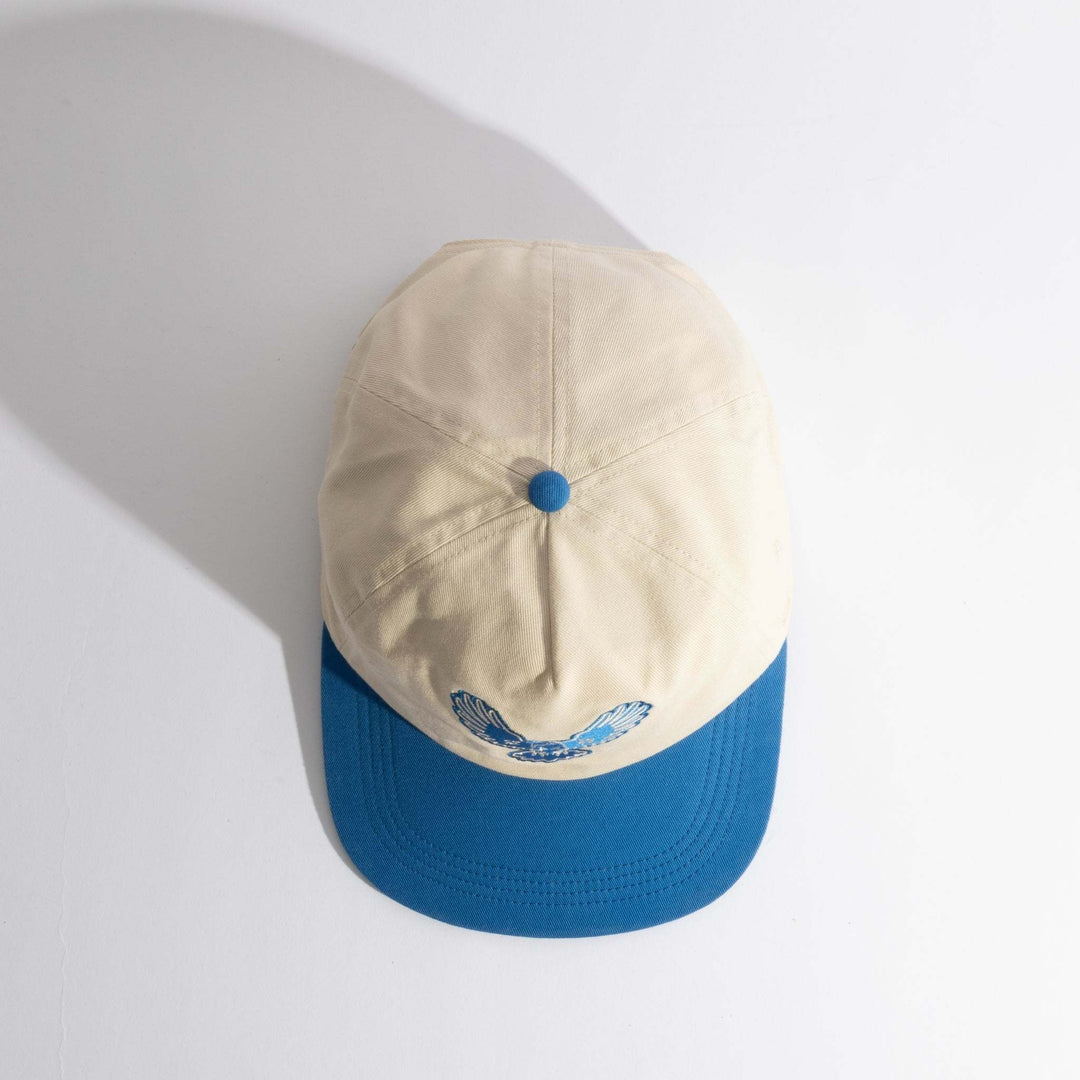 Coal Hayes | Bone/Blue