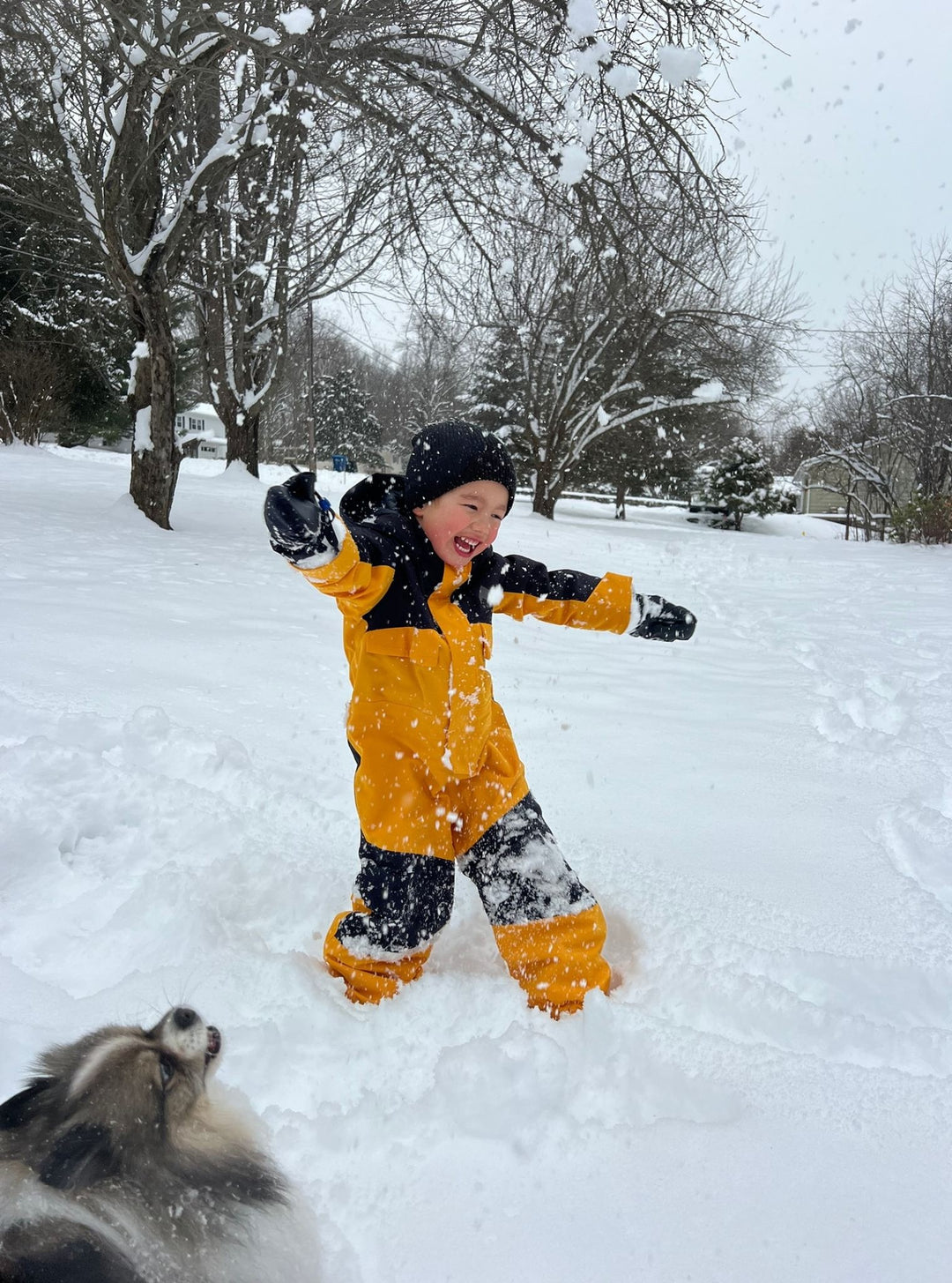 Burton Toddlers&