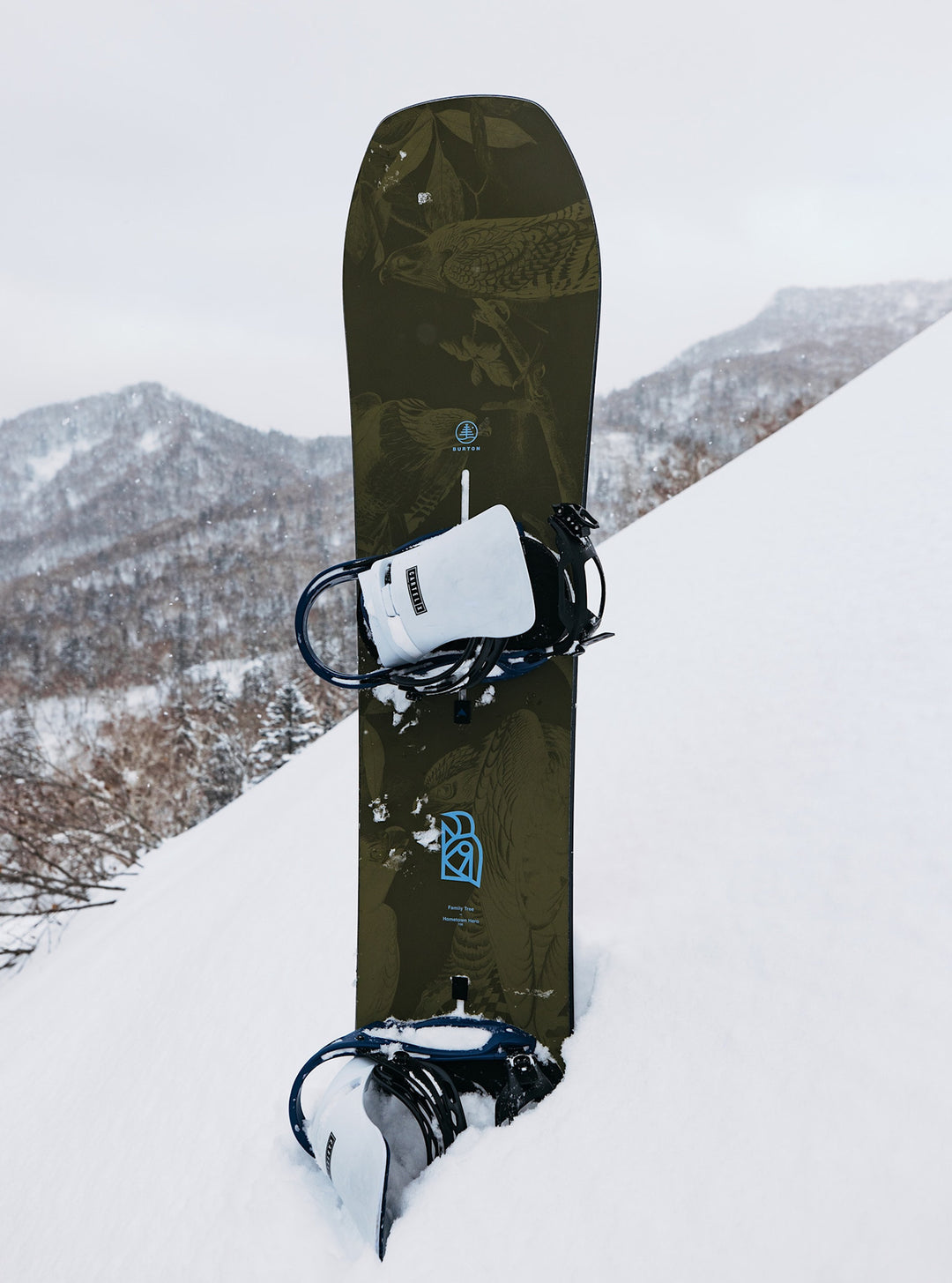 Burton Family Tree Hometown Hero Snowboard 2026
