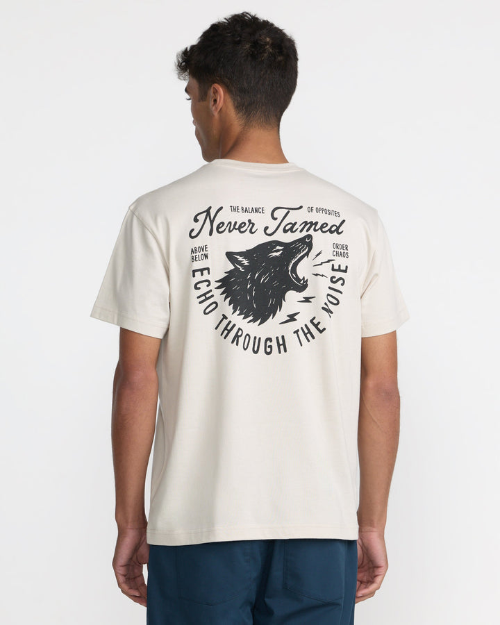 RVCA Men’s Echo Ss in Ceramic, back view on model