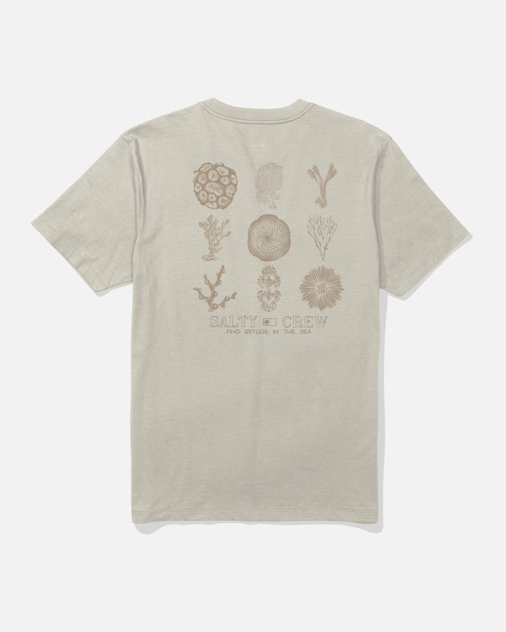 Salty Crew Coral Head Short Sleeve Tee (Men&