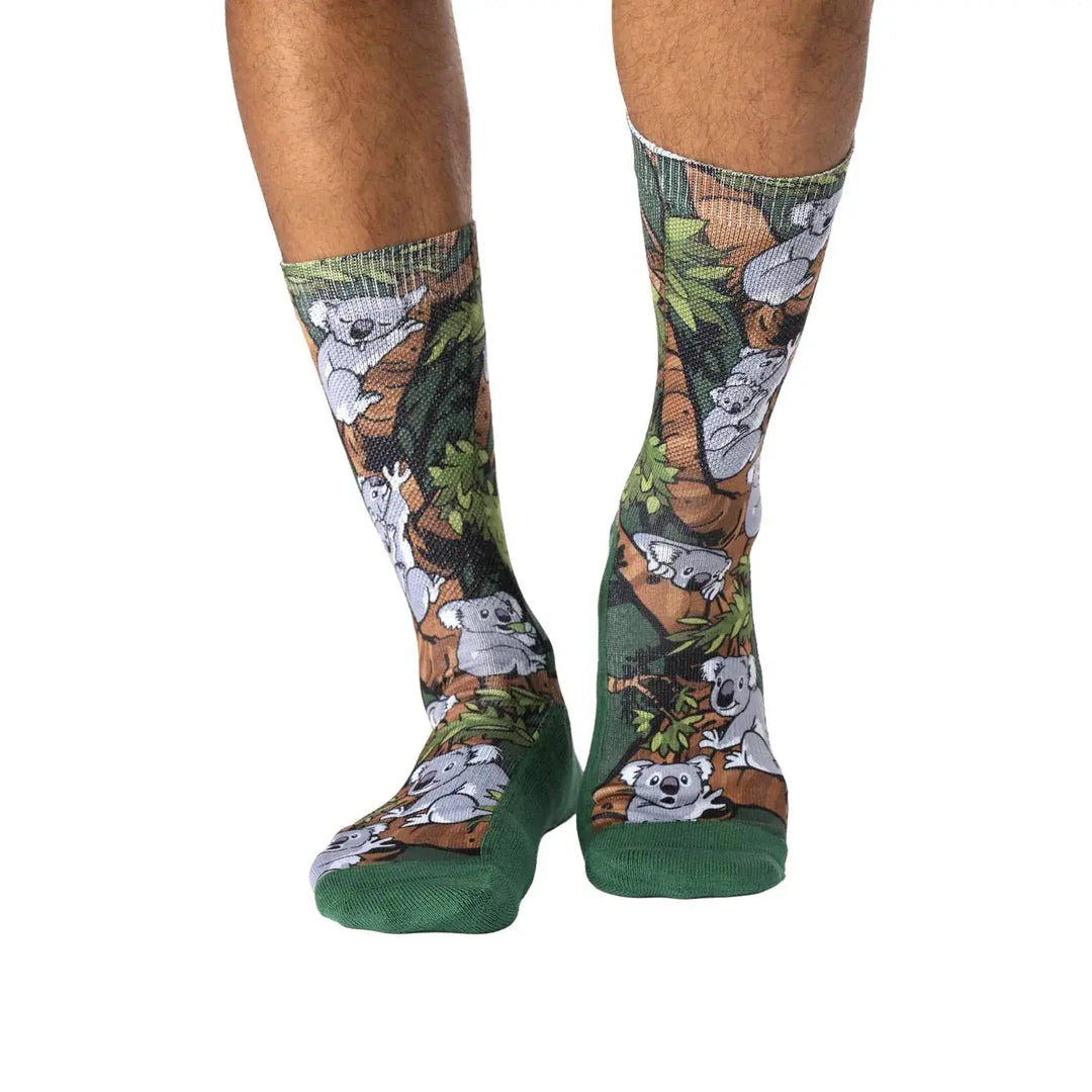 Good Luck Sock Koalas Hanging Out Socks (Mens) | 8-13