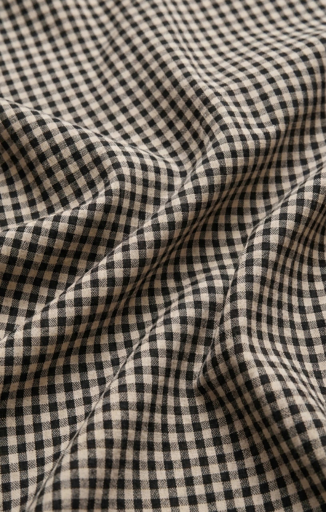 Z Supply Women’s Brooke Gingham Skirt in Black, additional view