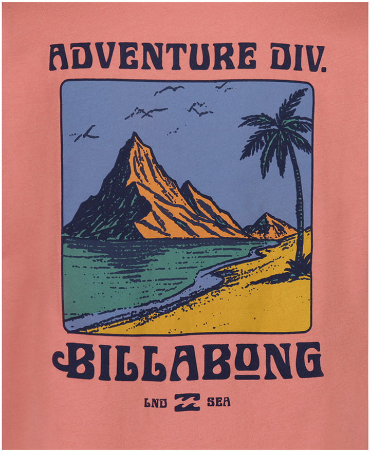 Billabong Post Cards Ss (Youth) | Dusty Rose