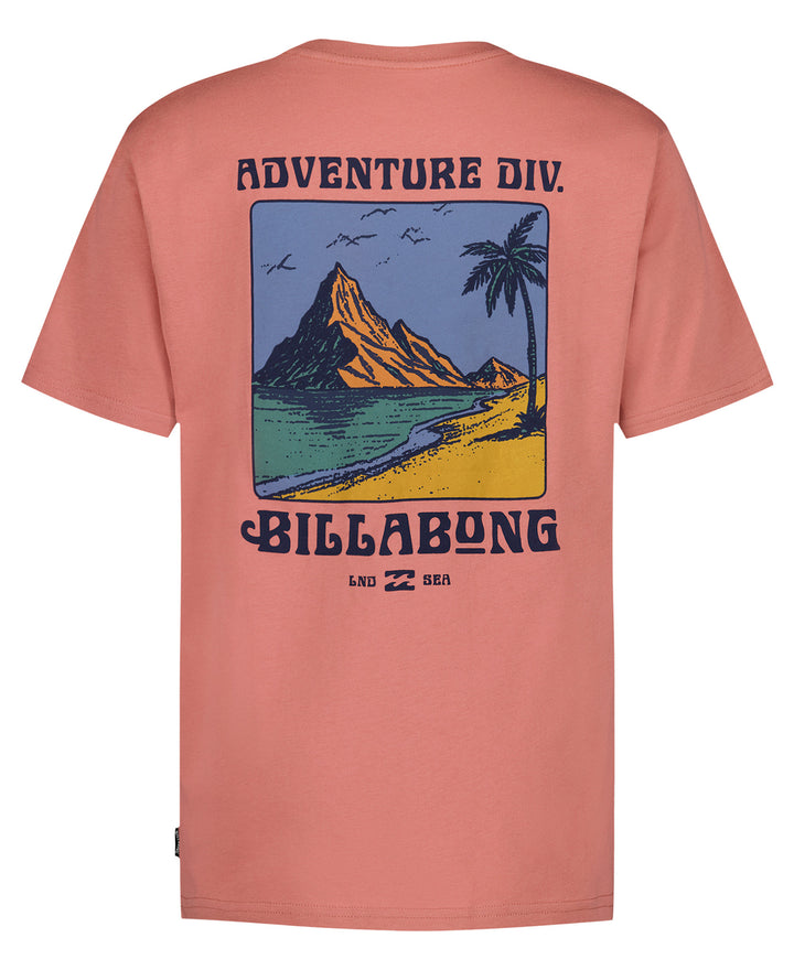 Billabong Post Cards Ss (Youth) | Dusty Rose