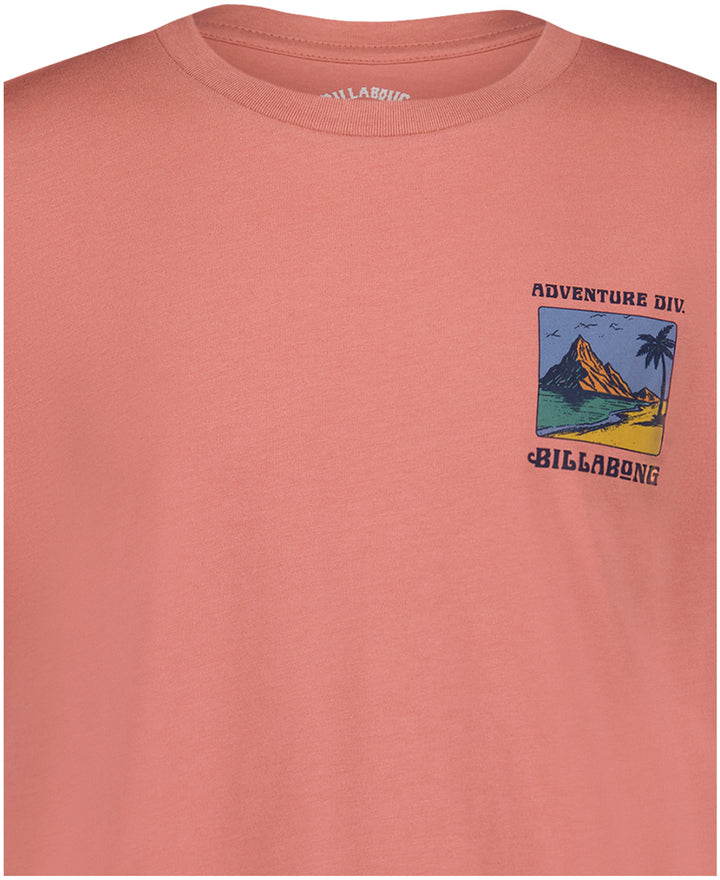 Billabong Post Cards Ss (Youth) | Dusty Rose