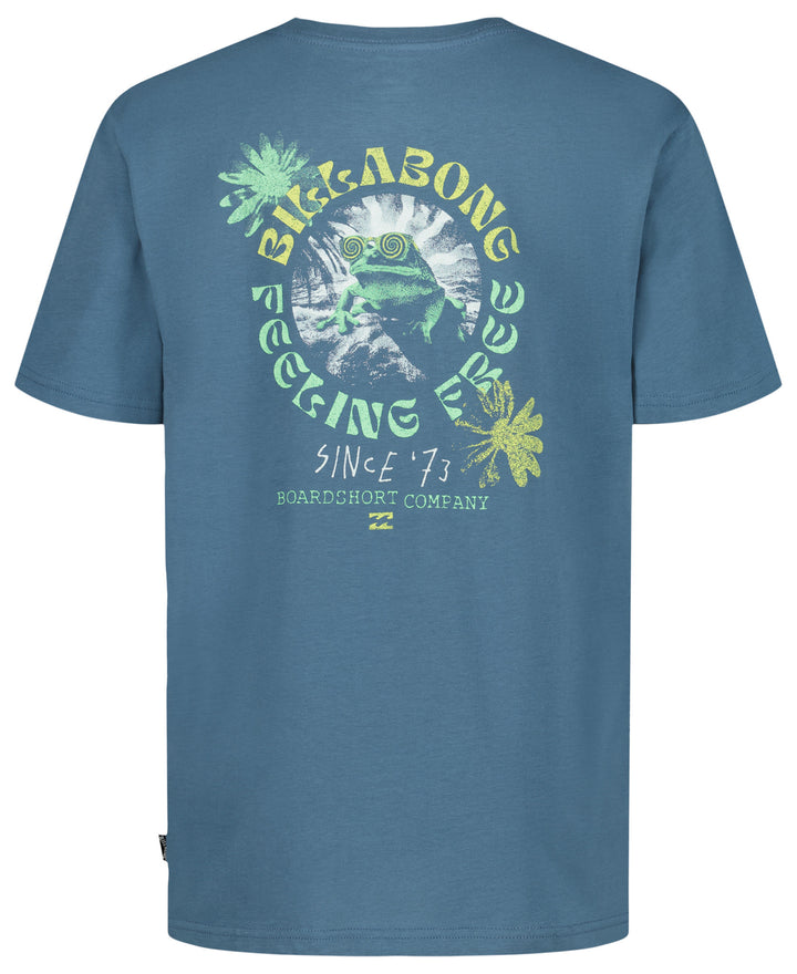 Billabong Psych Frog Ss (Youth) | Real Teal