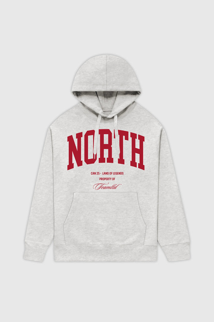 TEAMLTD North Hoodie (Unisex) | Ash