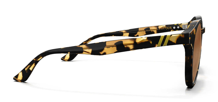 Blenders Coastal X2 Gloss Tortoise | Amber Pc Polarized