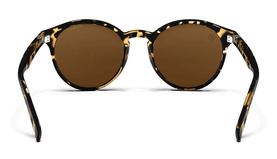 Blenders Coastal X2 Gloss Tortoise | Amber Pc Polarized