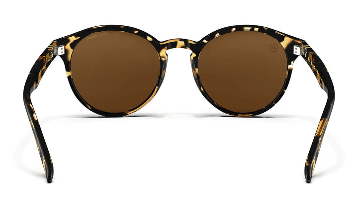 Blenders Coastal X2 Gloss Tortoise | Amber Pc Polarized