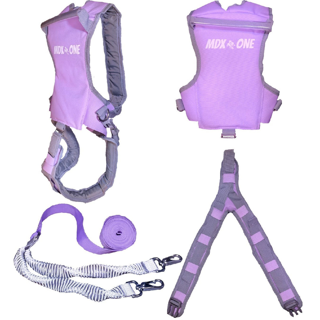 MDXONE The Static Ski Harness | Lavender