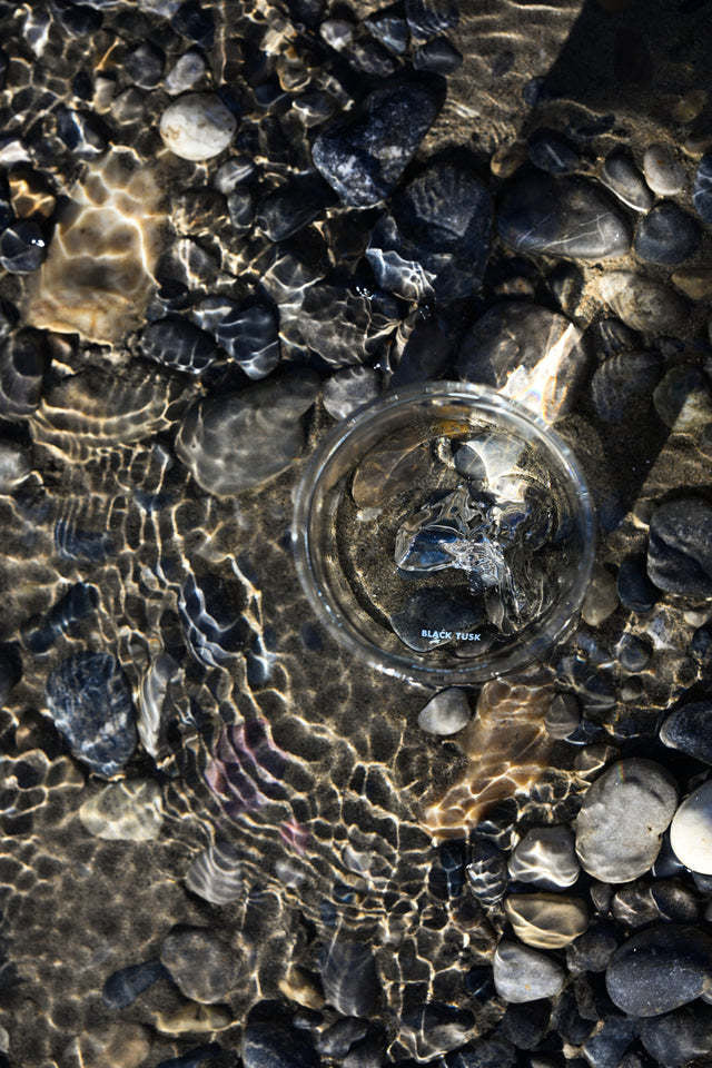 MTNPK Tumbler Glass | Black Tusks