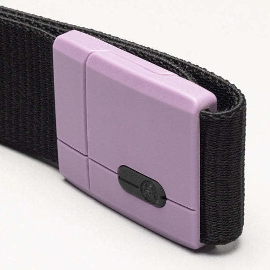 Arcade Polar | Black/Violet
