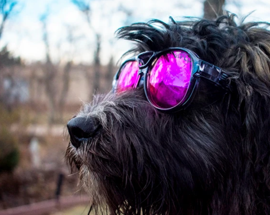 Pit Viper The Smoke Show Exciters | Polarized Z87+ Purple