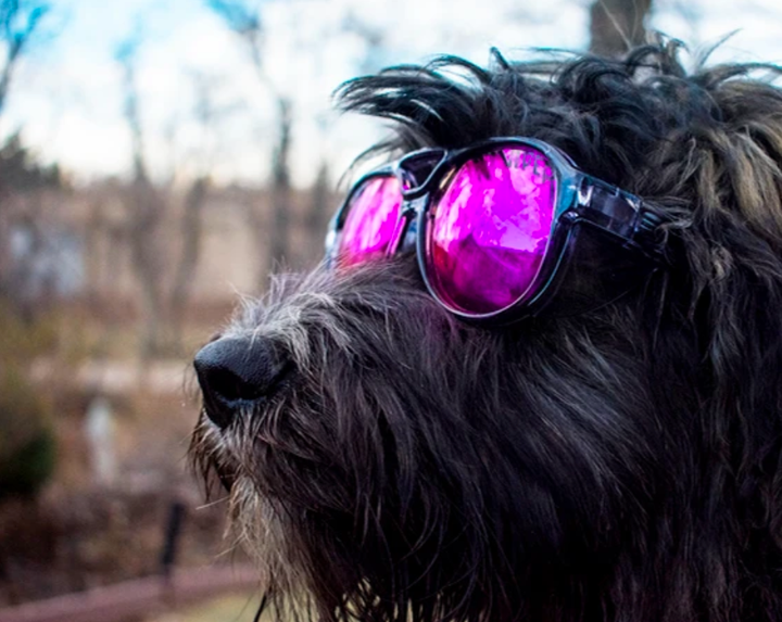 Pit Viper The Smoke Show Exciters | Polarized Z87+ Purple