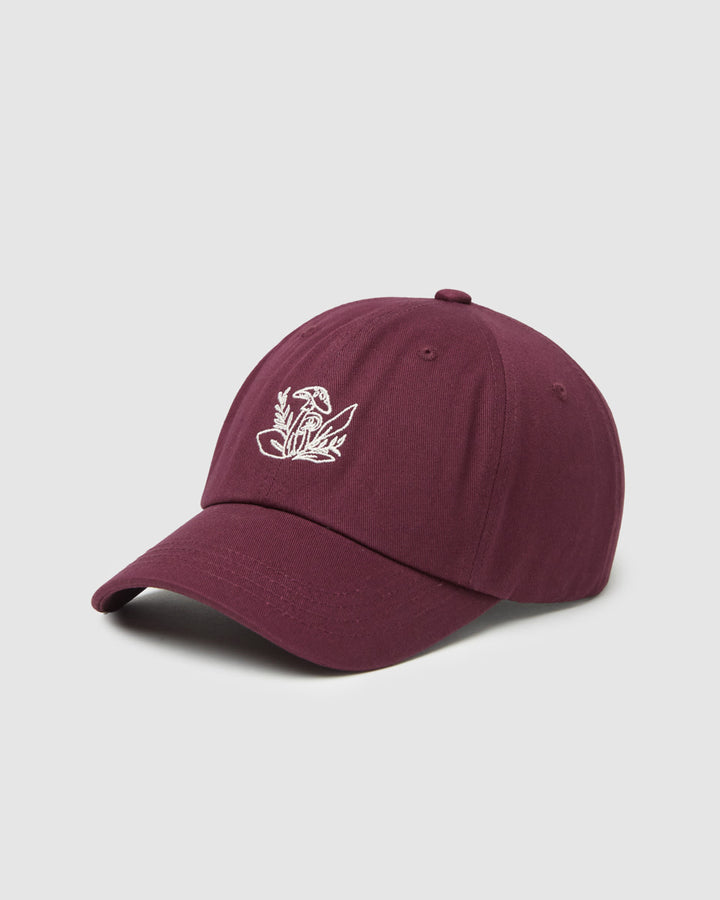 Tentree Understory Peak Hat (Women&