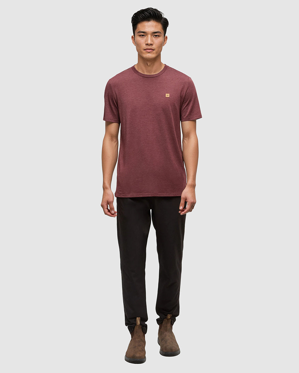 tentree Baker Tee (Men&
