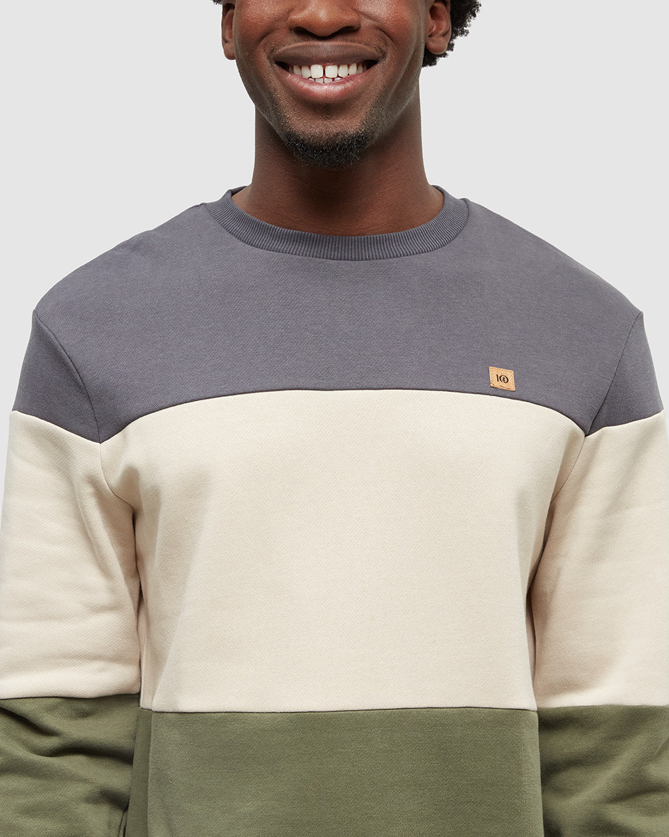 tentree Blocked Reynard Crew (Men&