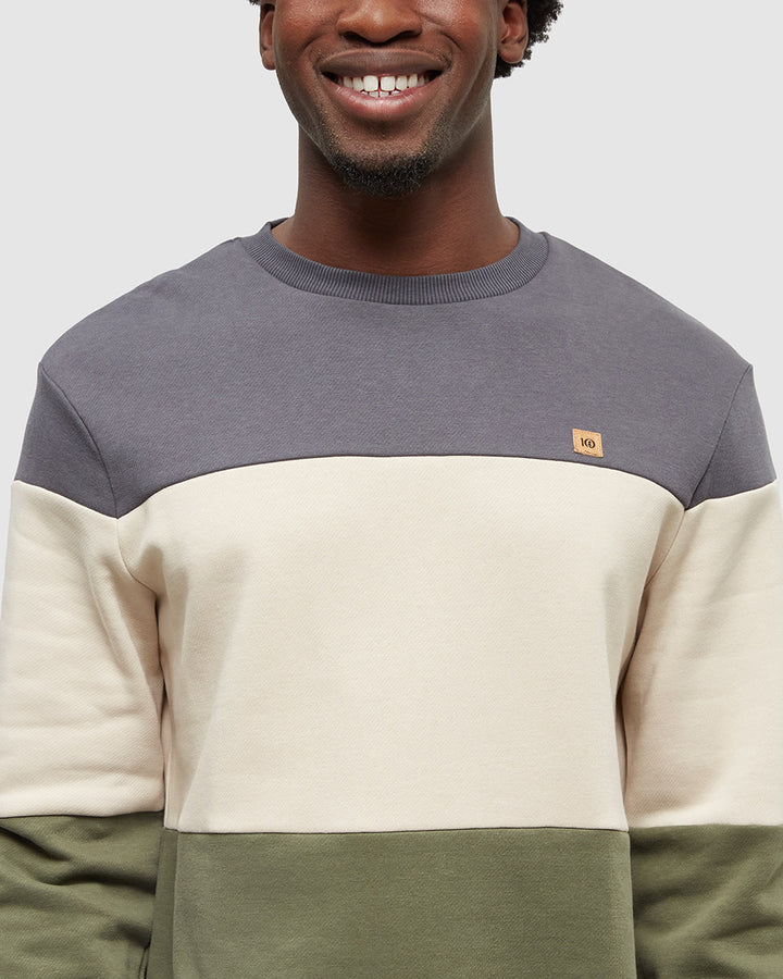 tentree Blocked Reynard Crew (Men&