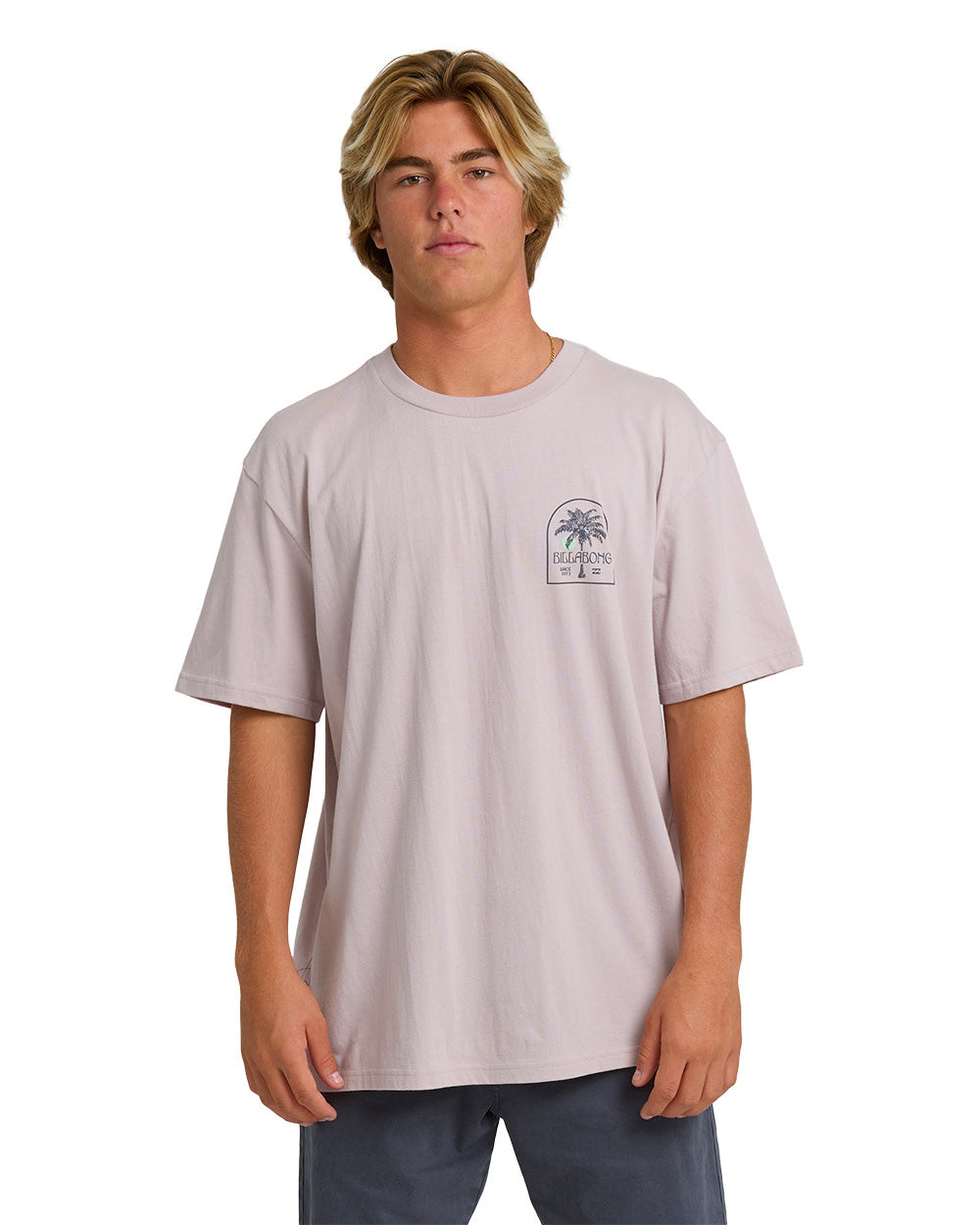 Billabong Portal Premium Short Sleeve Tee (Men&